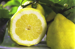 Limone