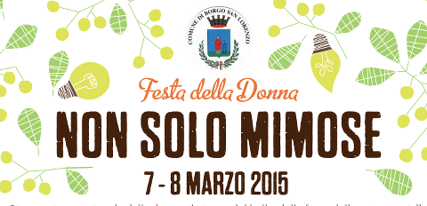 non solo mimose borgo san lorenzo