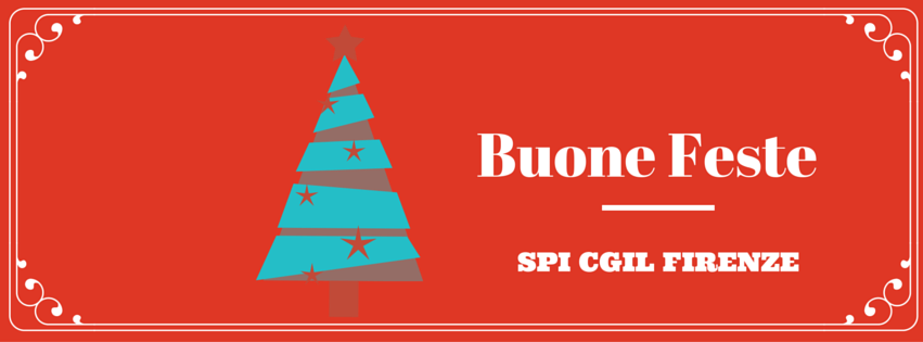 Feste Spi cover FB